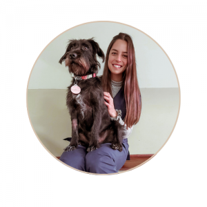veterinaria blog