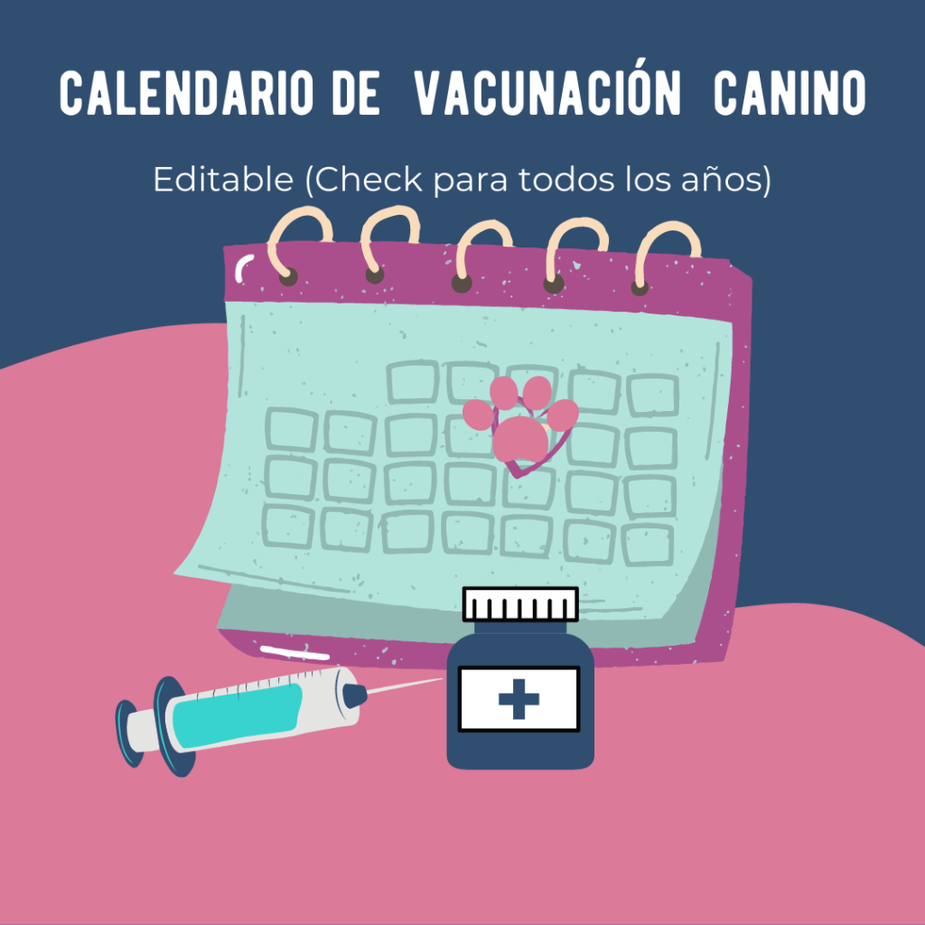calendario vacunacion